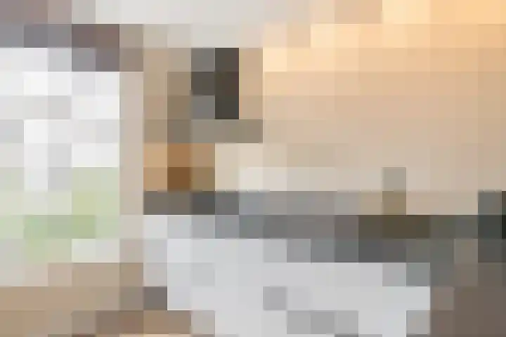 Sterappelpad 3 Hoef en Haag thumbnail 11