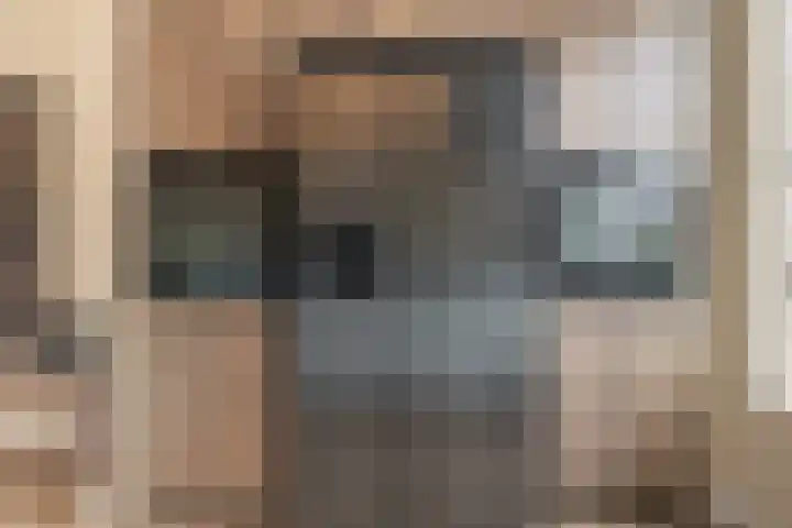 Sterappelpad 3 Hoef en Haag thumbnail 13