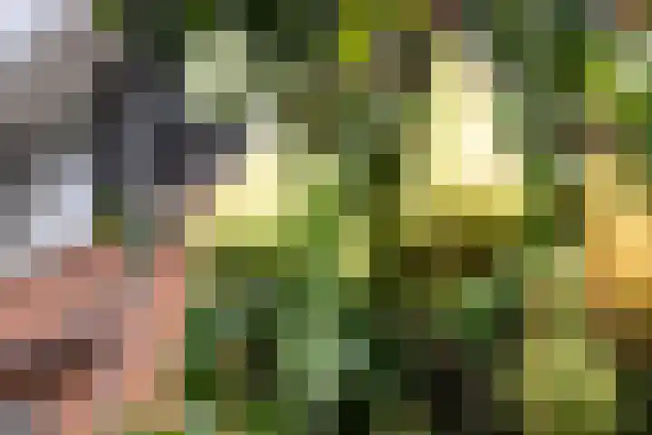 Sterappelpad 3 Hoef en Haag thumbnail 31
