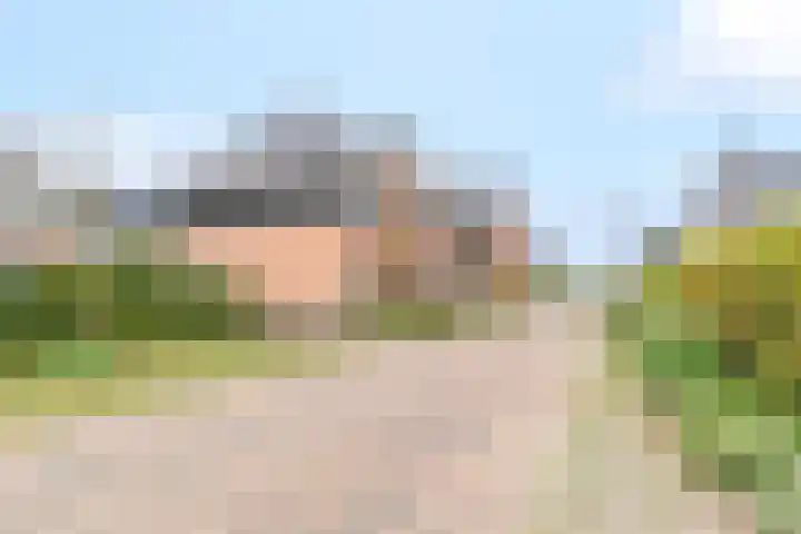 Sterappelpad 3 Hoef en Haag thumbnail 34