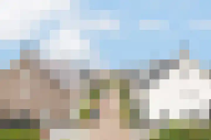 Sterappelpad 3 Hoef en Haag thumbnail 36