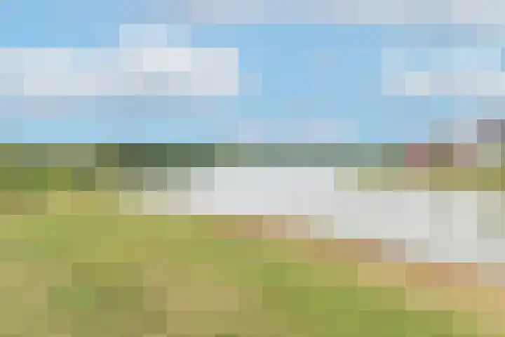 Sterappelpad 3 Hoef en Haag thumbnail 37