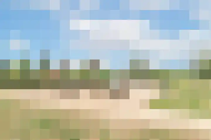 Sterappelpad 3 Hoef en Haag thumbnail 38