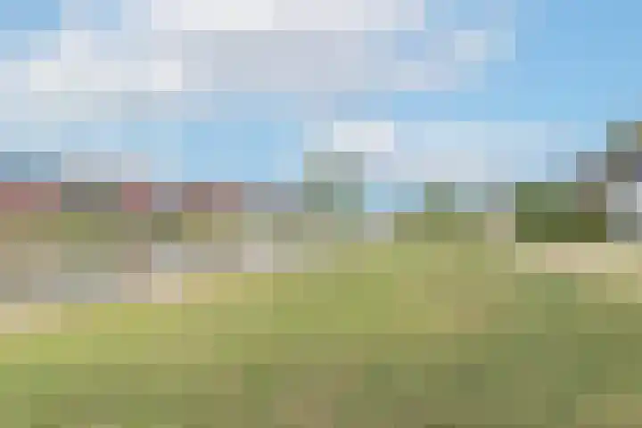 Sterappelpad 3 Hoef en Haag thumbnail 39