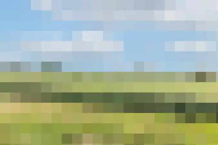 Sterappelpad 3 Hoef en Haag thumbnail 40