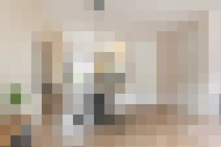 Sterappelpad 3 Hoef en Haag thumbnail 8
