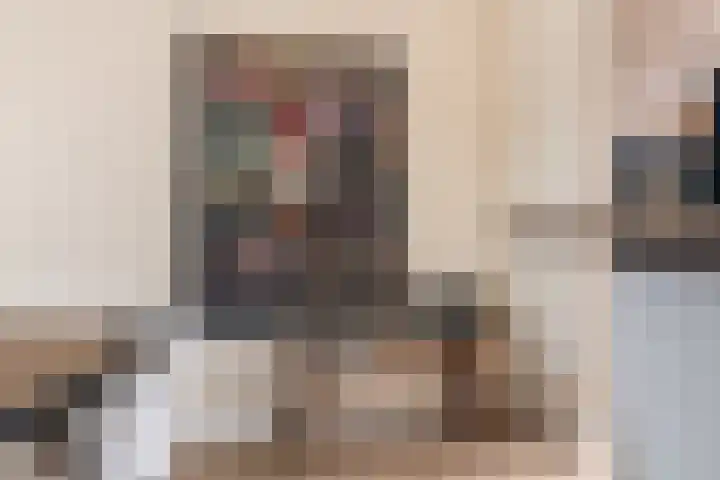 Sterappelpad 3 Hoef en Haag thumbnail 9