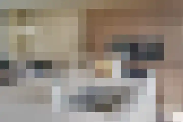 Sterappelpad 9 Hoef en Haag thumbnail 11