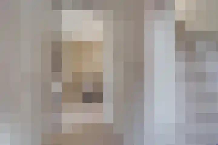 Sterappelpad 9 Hoef en Haag thumbnail 17