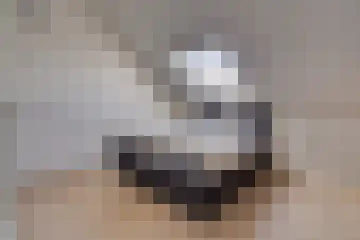 Sterappelpad 9 Hoef en Haag thumbnail 27