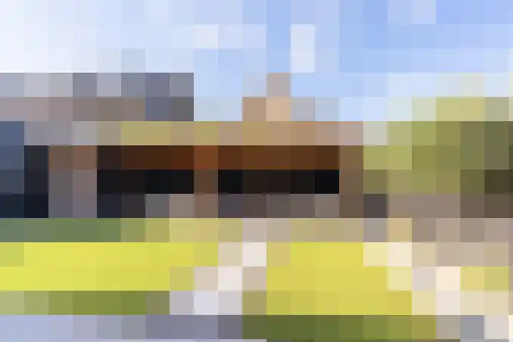 Sterappelpad 9 Hoef en Haag thumbnail 32