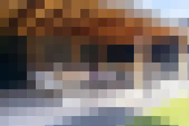Sterappelpad 9 Hoef en Haag thumbnail 33