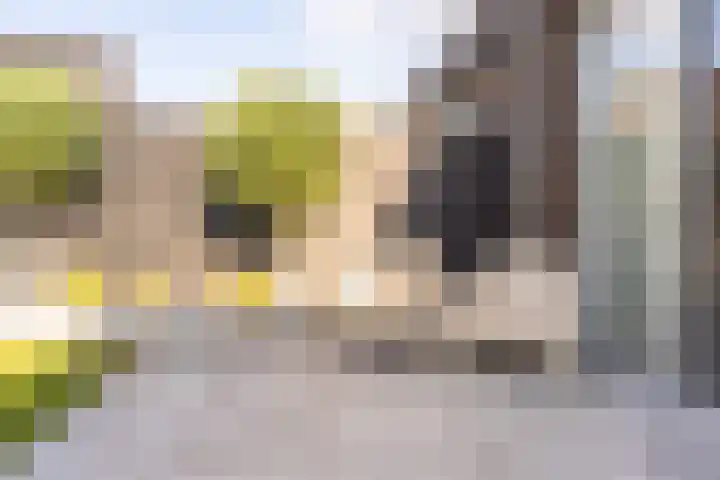 Sterappelpad 9 Hoef en Haag thumbnail 34