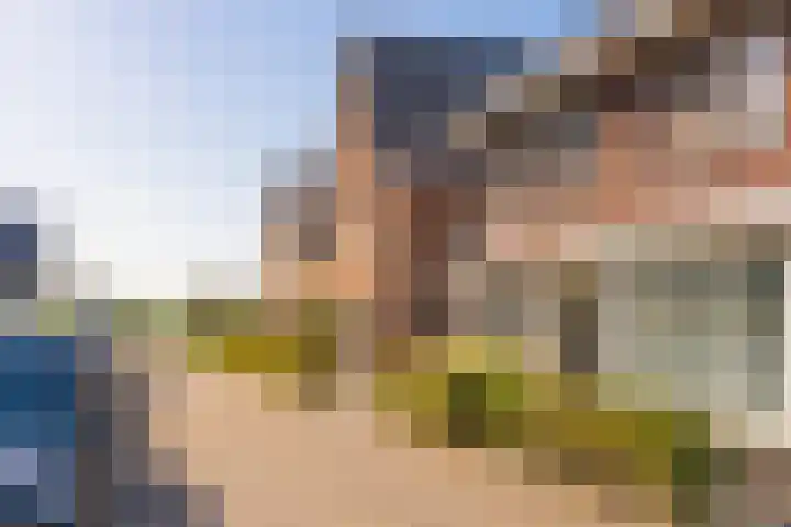 Sterappelpad 9 Hoef en Haag thumbnail 38