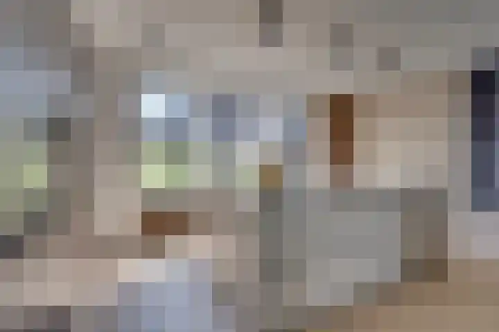 Sterappelpad 9 Hoef en Haag thumbnail 4