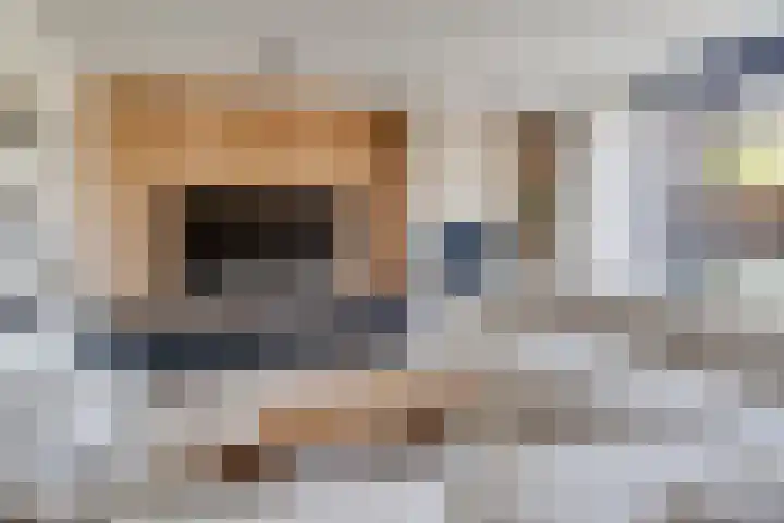 Sterappelpad 9 Hoef en Haag thumbnail 5