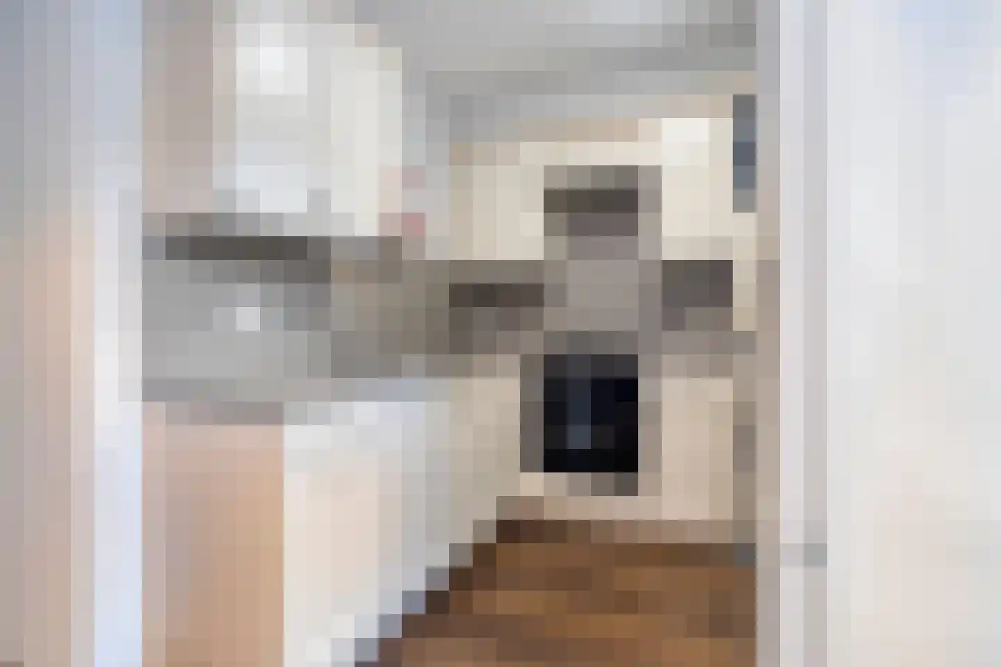 Sterappelstraat 18 Kapelle thumbnail 17