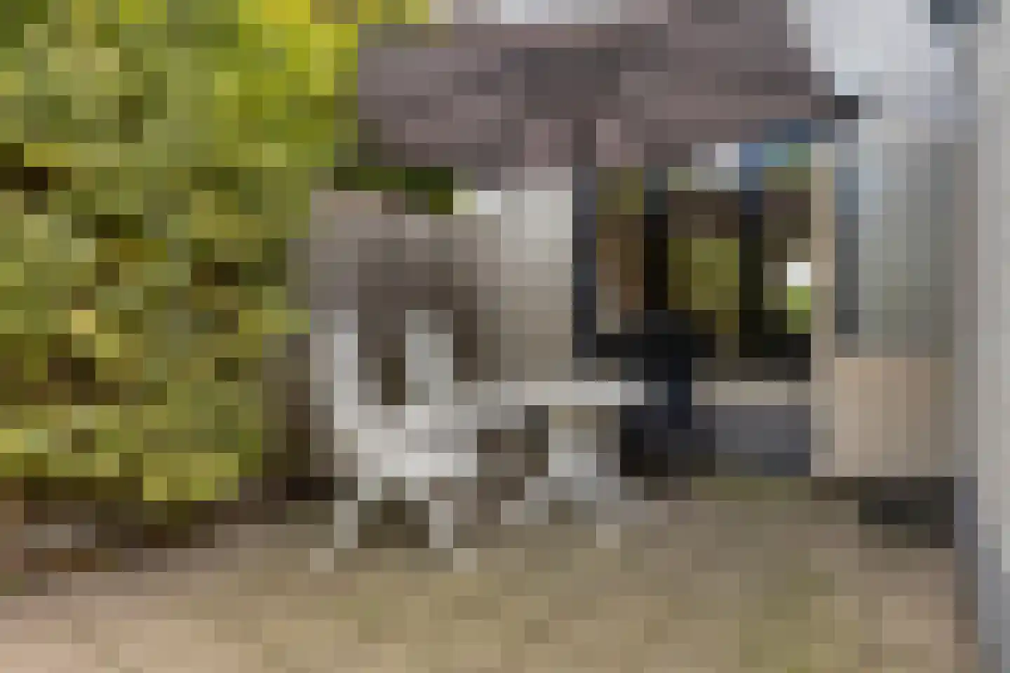 Sterappelstraat 18 Kapelle thumbnail 8