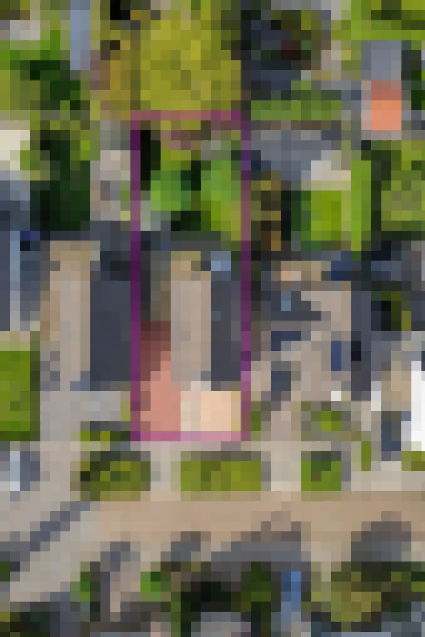 Sterappelstraat 18 Kapelle thumbnail 9