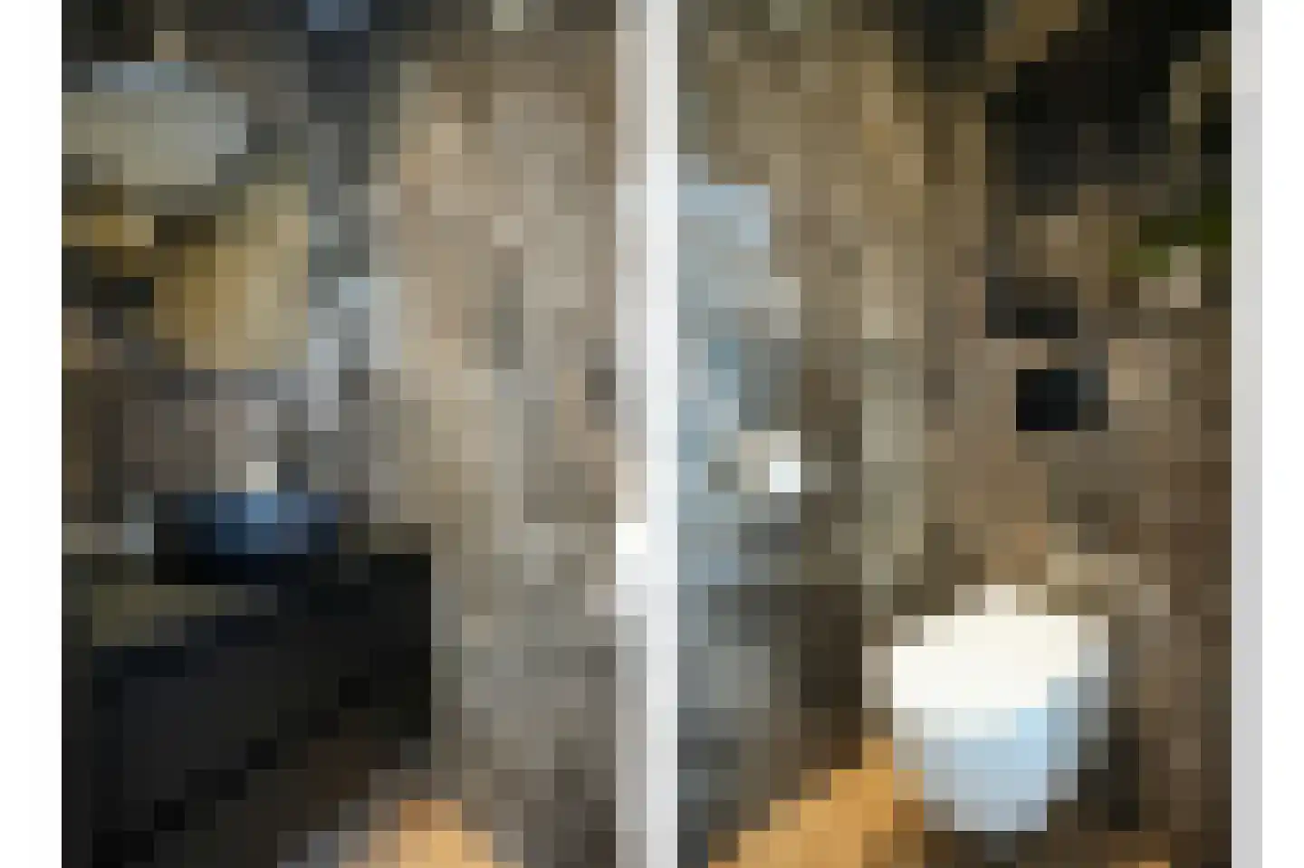 Sterappelstraat 2 Eindhoven thumbnail 10