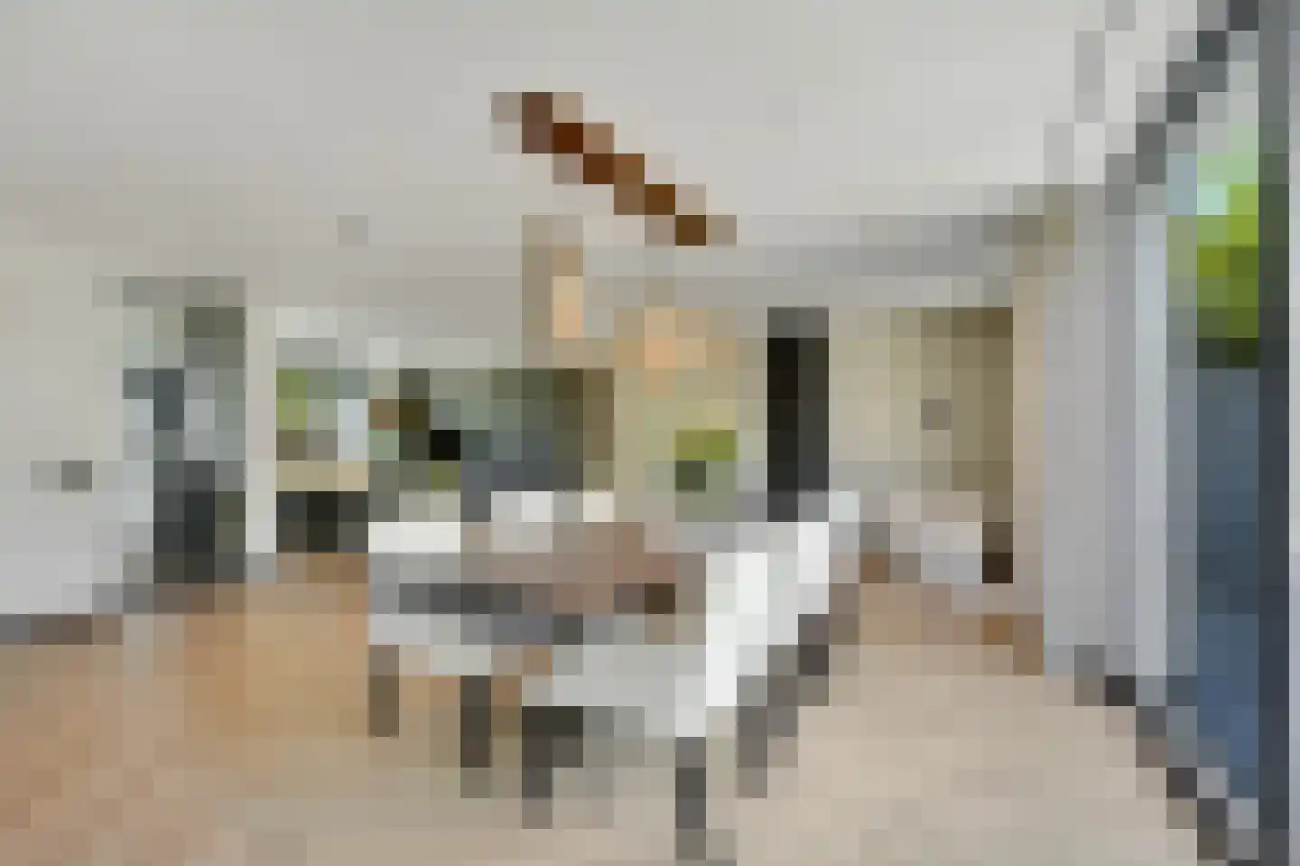 Sterappelstraat 2 Eindhoven thumbnail 19