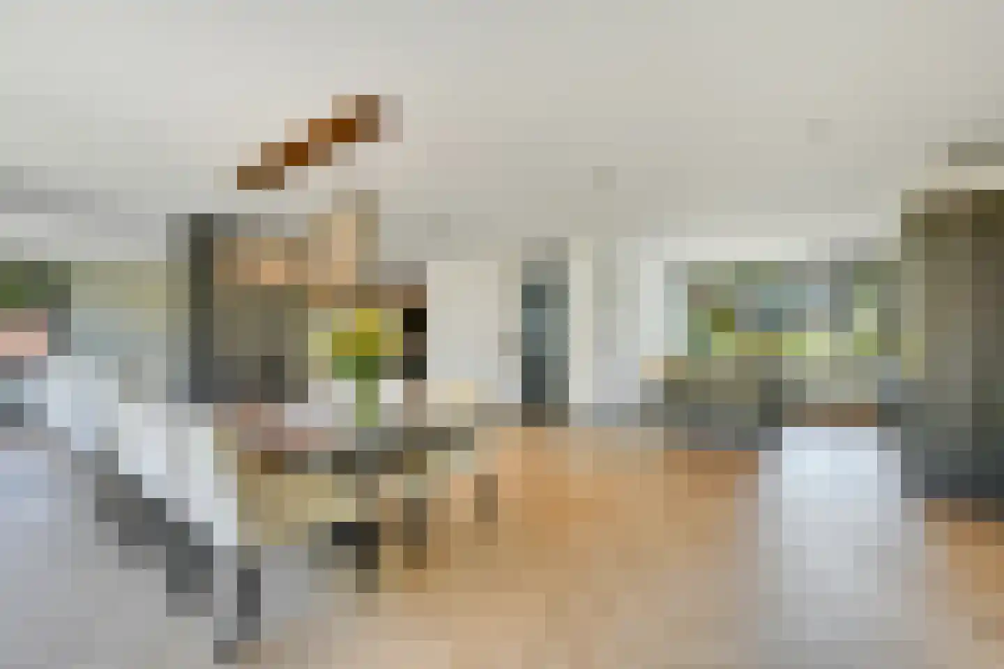 Sterappelstraat 2 Eindhoven thumbnail 20