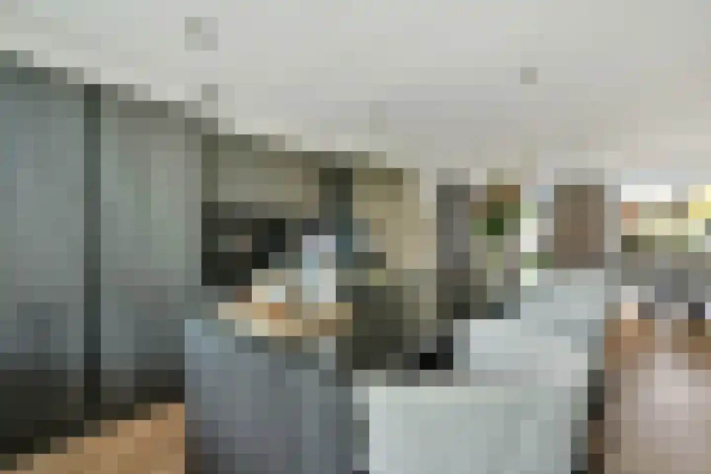 Sterappelstraat 2 Eindhoven thumbnail 24