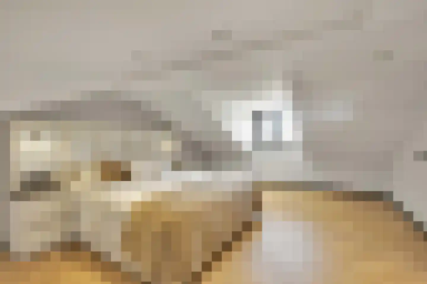 Sterappelstraat 2 Eindhoven thumbnail 27