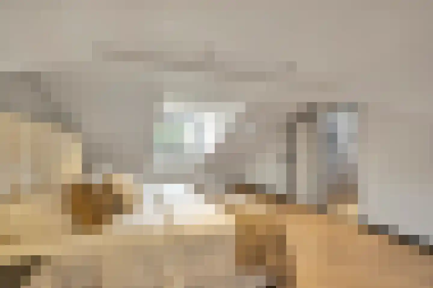Sterappelstraat 2 Eindhoven thumbnail 29