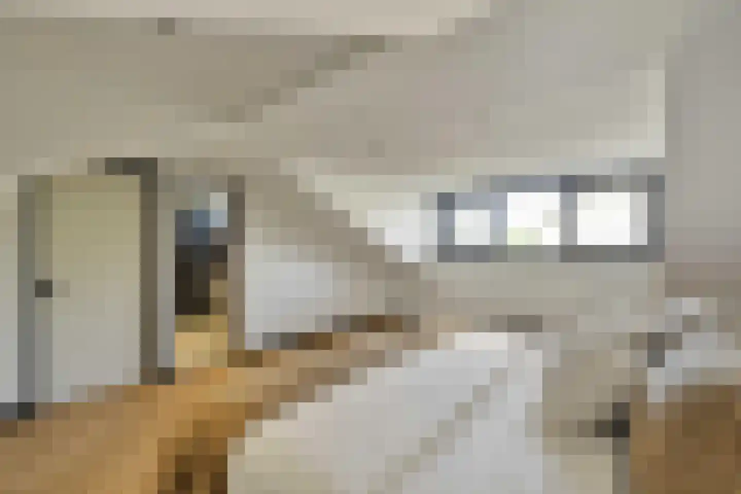 Sterappelstraat 2 Eindhoven thumbnail 30