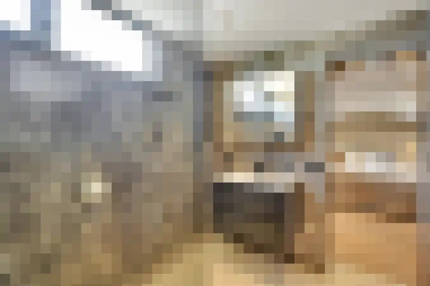 Sterappelstraat 2 Eindhoven thumbnail 31