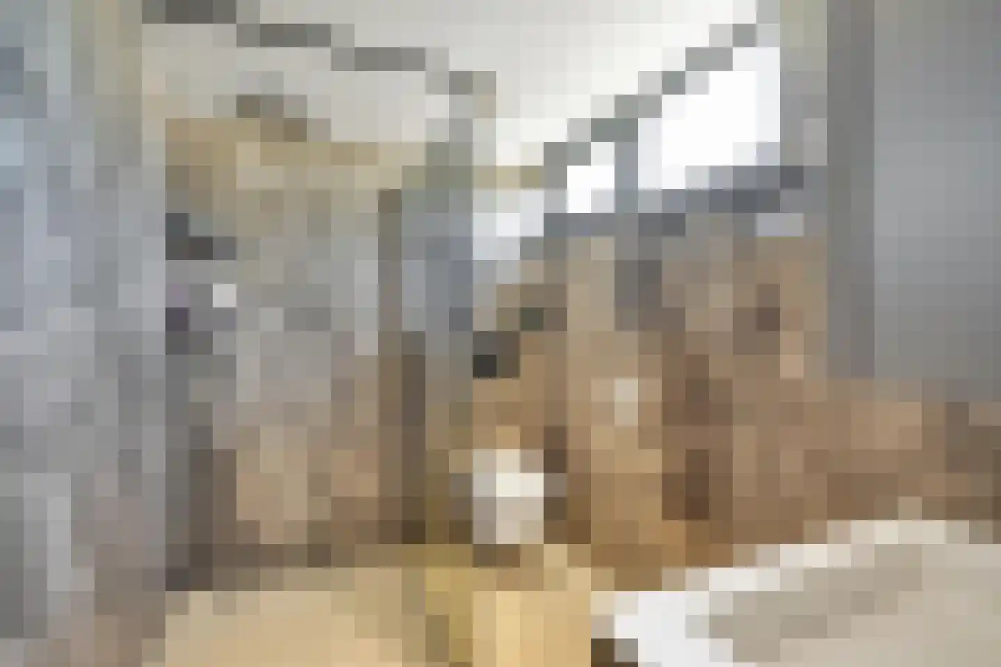 Sterappelstraat 2 Eindhoven thumbnail 5