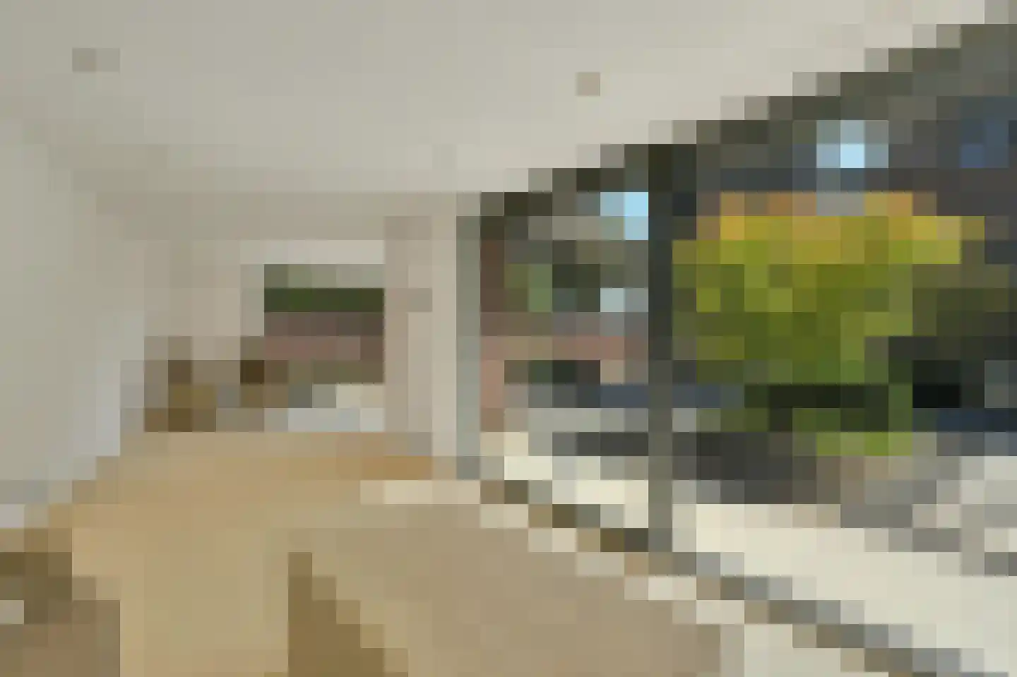 Sterappelstraat 2 Eindhoven thumbnail 50
