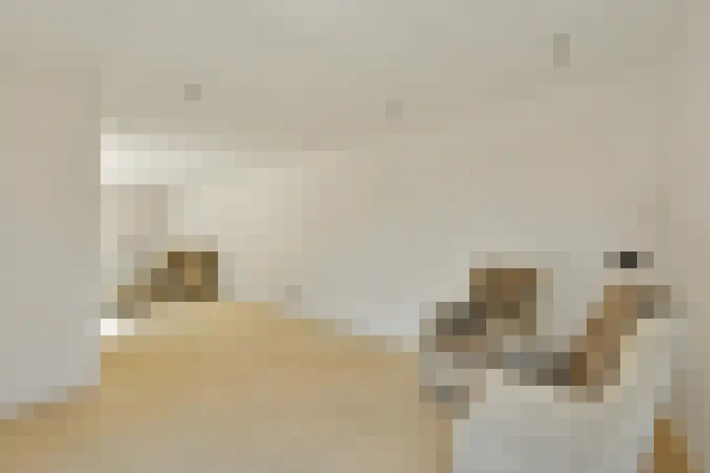 Sterappelstraat 2 Eindhoven thumbnail 52