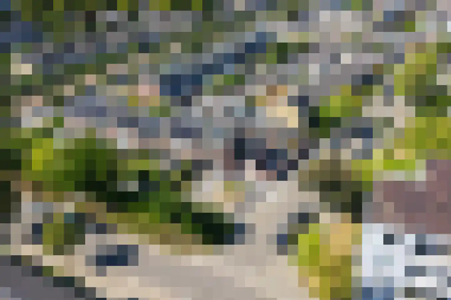 Sterappelstraat 2 Eindhoven thumbnail 63