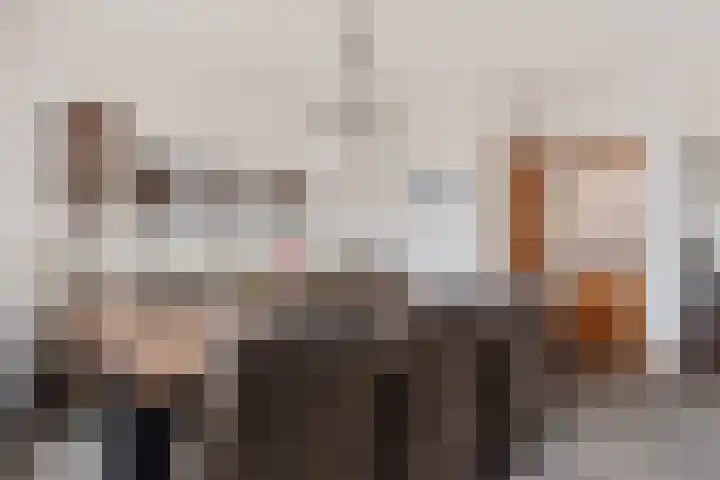 Sterappelstraat 31 Eindhoven thumbnail 11