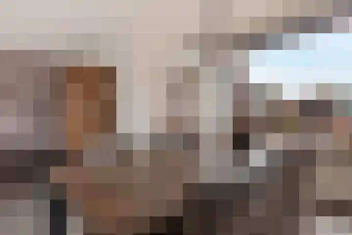 Sterappelstraat 31 Eindhoven thumbnail 12