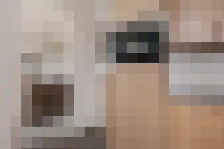 Sterappelstraat 31 Eindhoven thumbnail 16