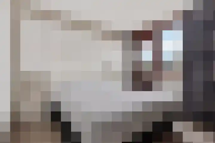 Sterappelstraat 31 Eindhoven thumbnail 19