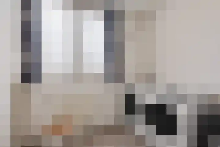 Sterappelstraat 31 Eindhoven thumbnail 22