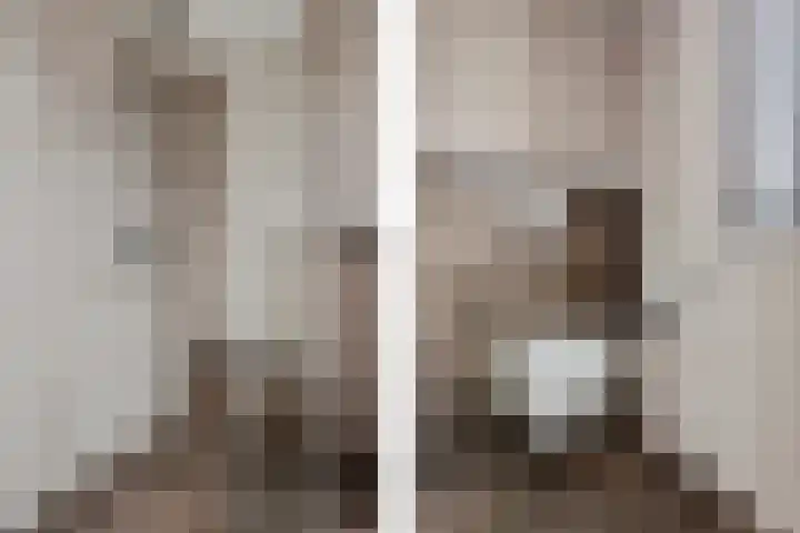 Sterappelstraat 31 Eindhoven thumbnail 23
