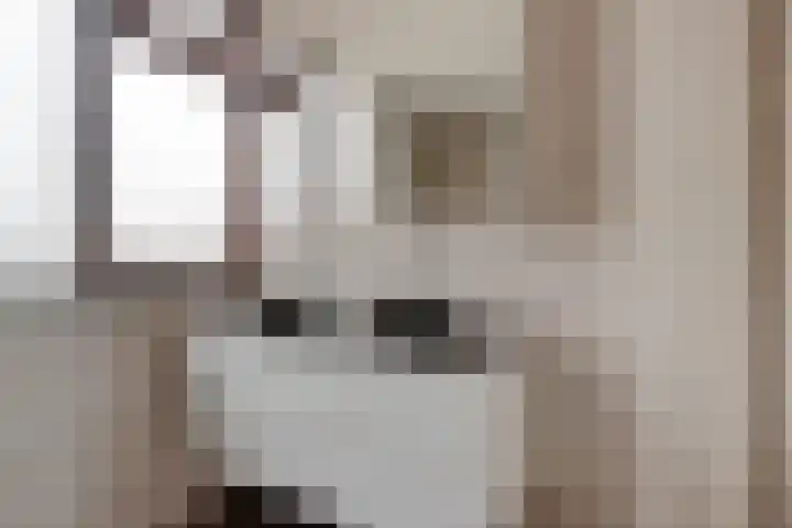 Sterappelstraat 31 Eindhoven thumbnail 24