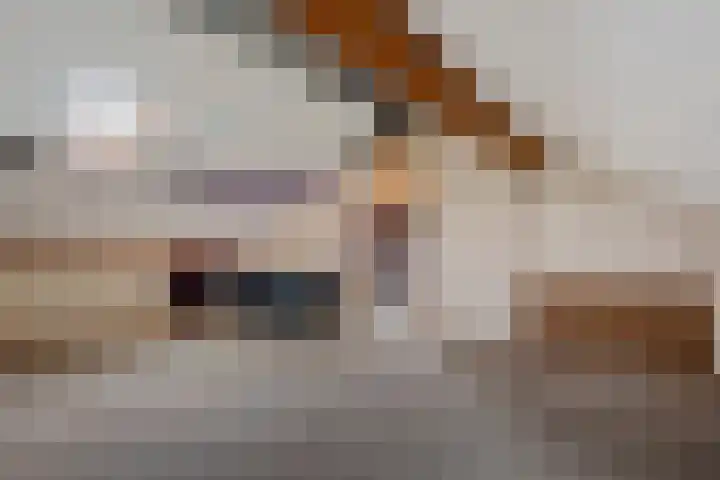 Sterappelstraat 31 Eindhoven thumbnail 28