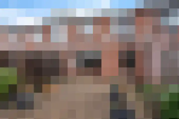 Sterappelstraat 31 Eindhoven thumbnail 4