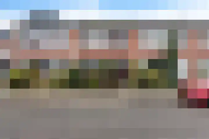 Sterappelstraat 31 Eindhoven thumbnail 5