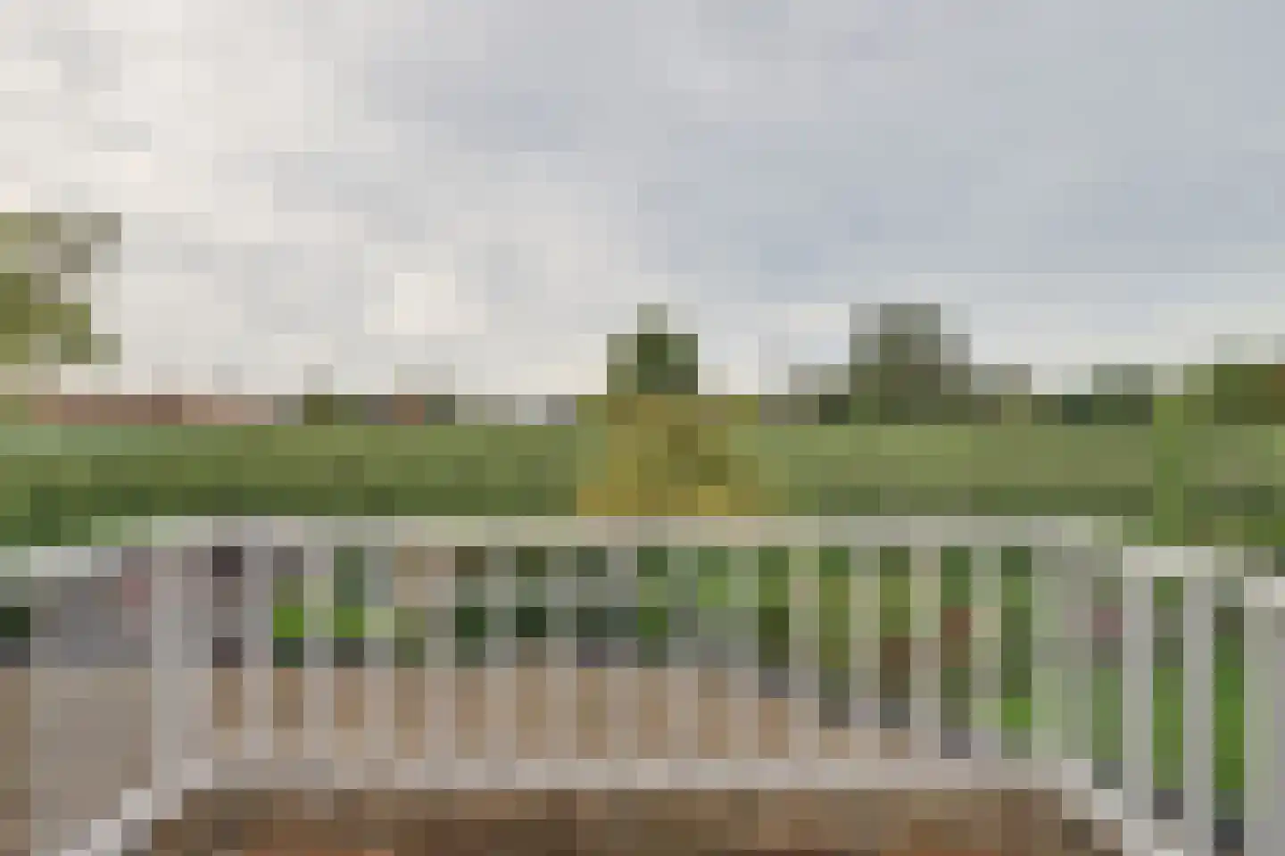 Sterappelstraat 37 Kapelle thumbnail 45