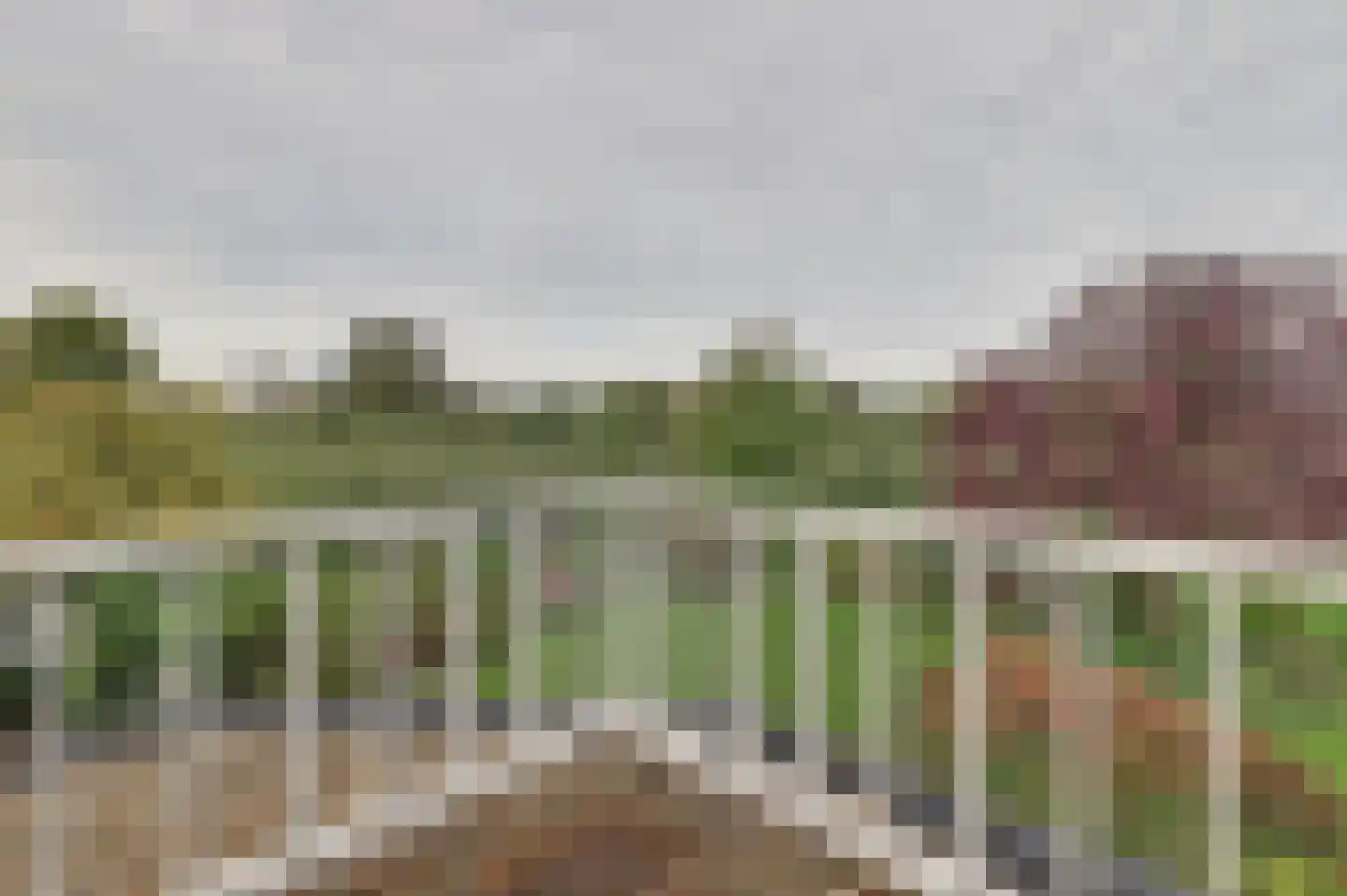 Sterappelstraat 37 Kapelle thumbnail 46