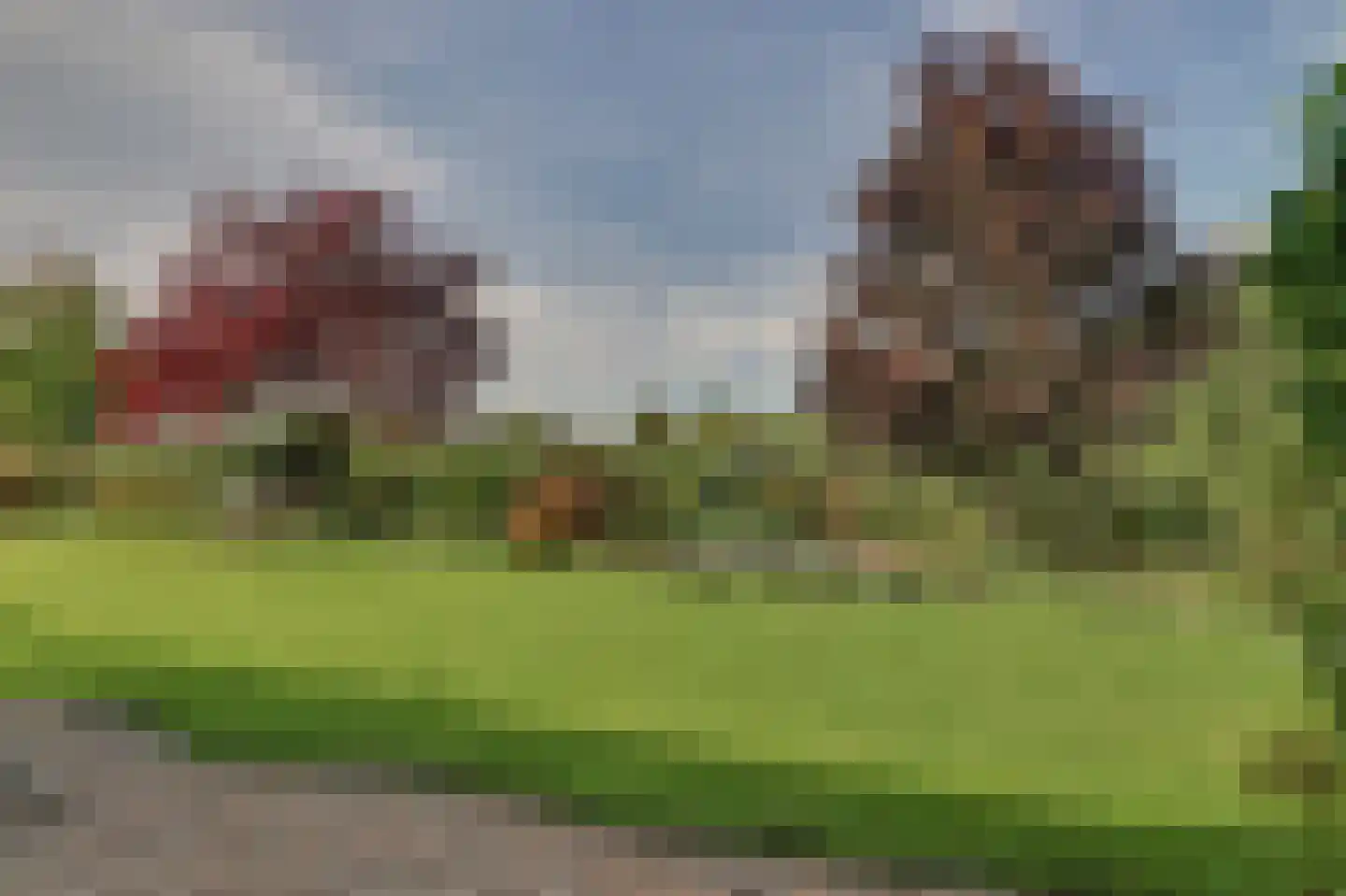Sterappelstraat 37 Kapelle thumbnail 49