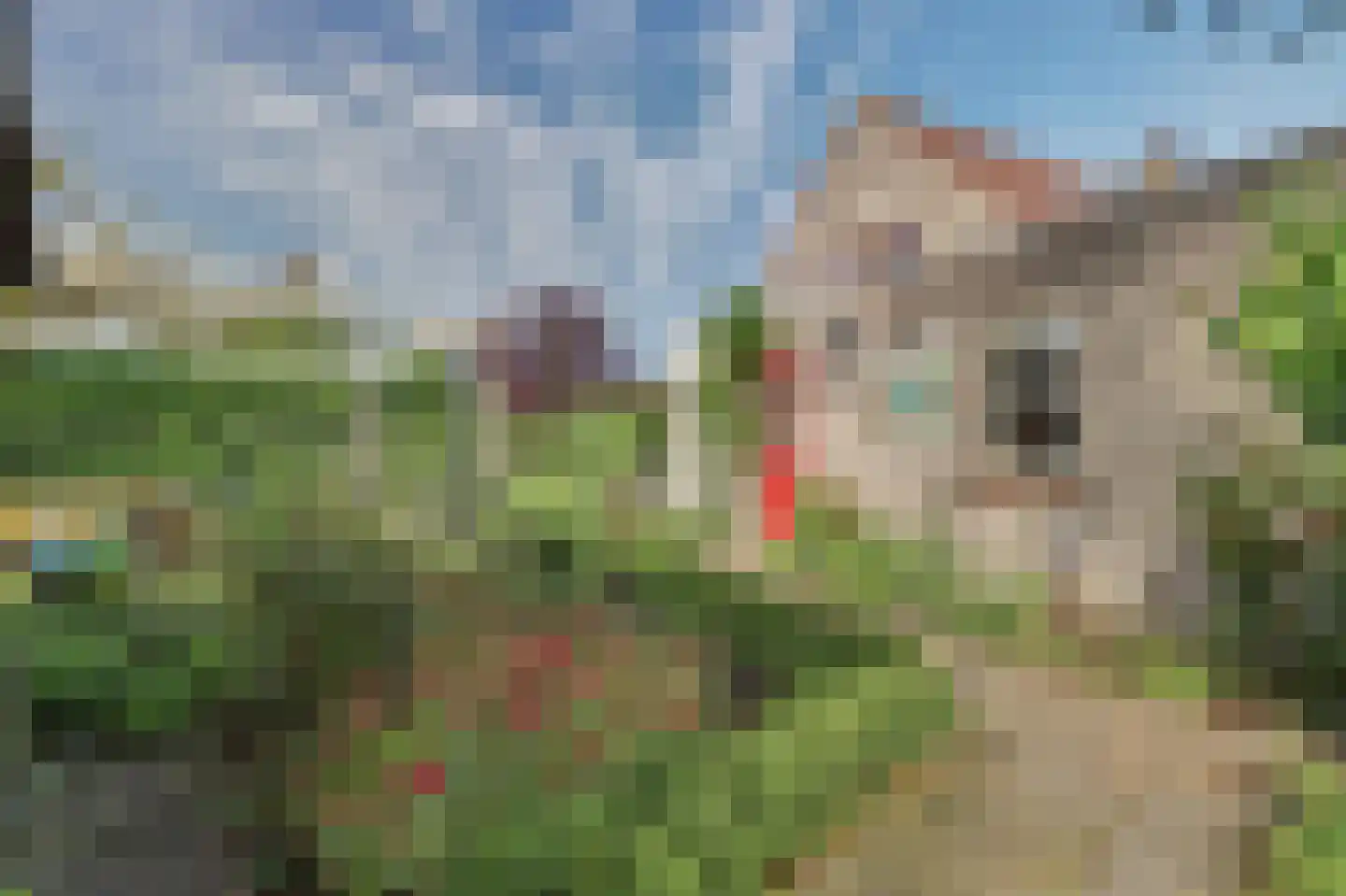 Sterappelstraat 37 Kapelle thumbnail 51