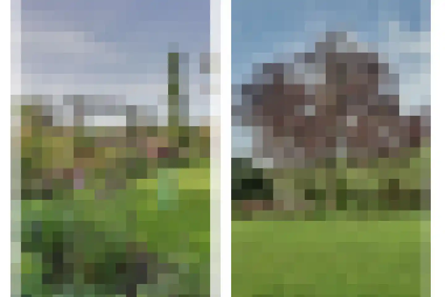 Sterappelstraat 37 Kapelle thumbnail 56